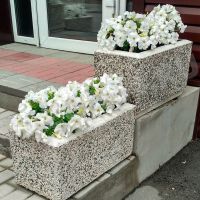 Вазон №1