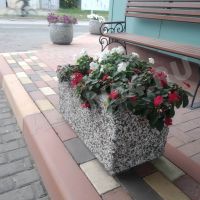 Вазон №1