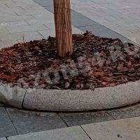 Приствольные ограждения №2
